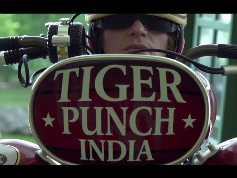 Tiger Punch India Combat Scene